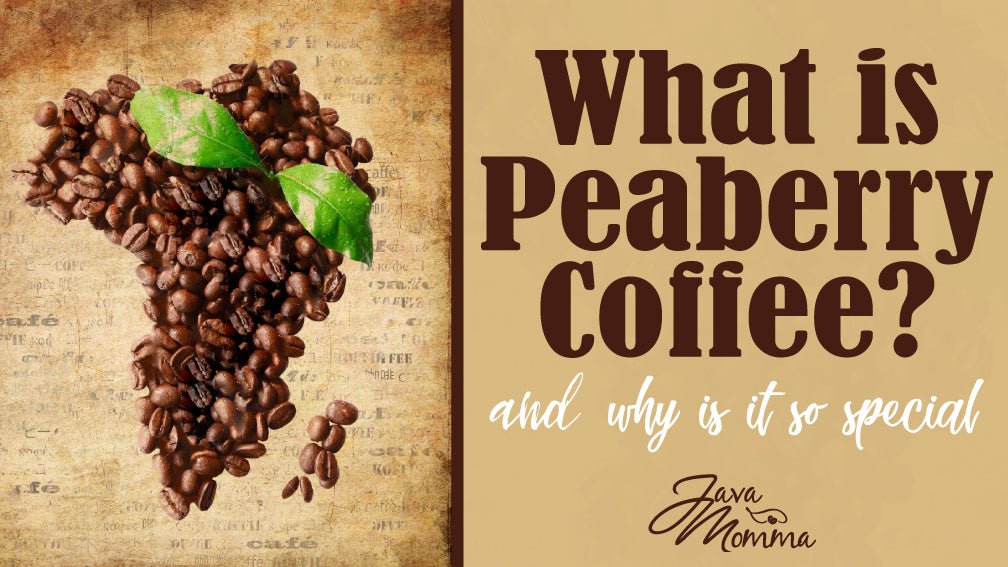 What is Tanzania Peaberry Coffee and Why You Need to Try It - Java Momma