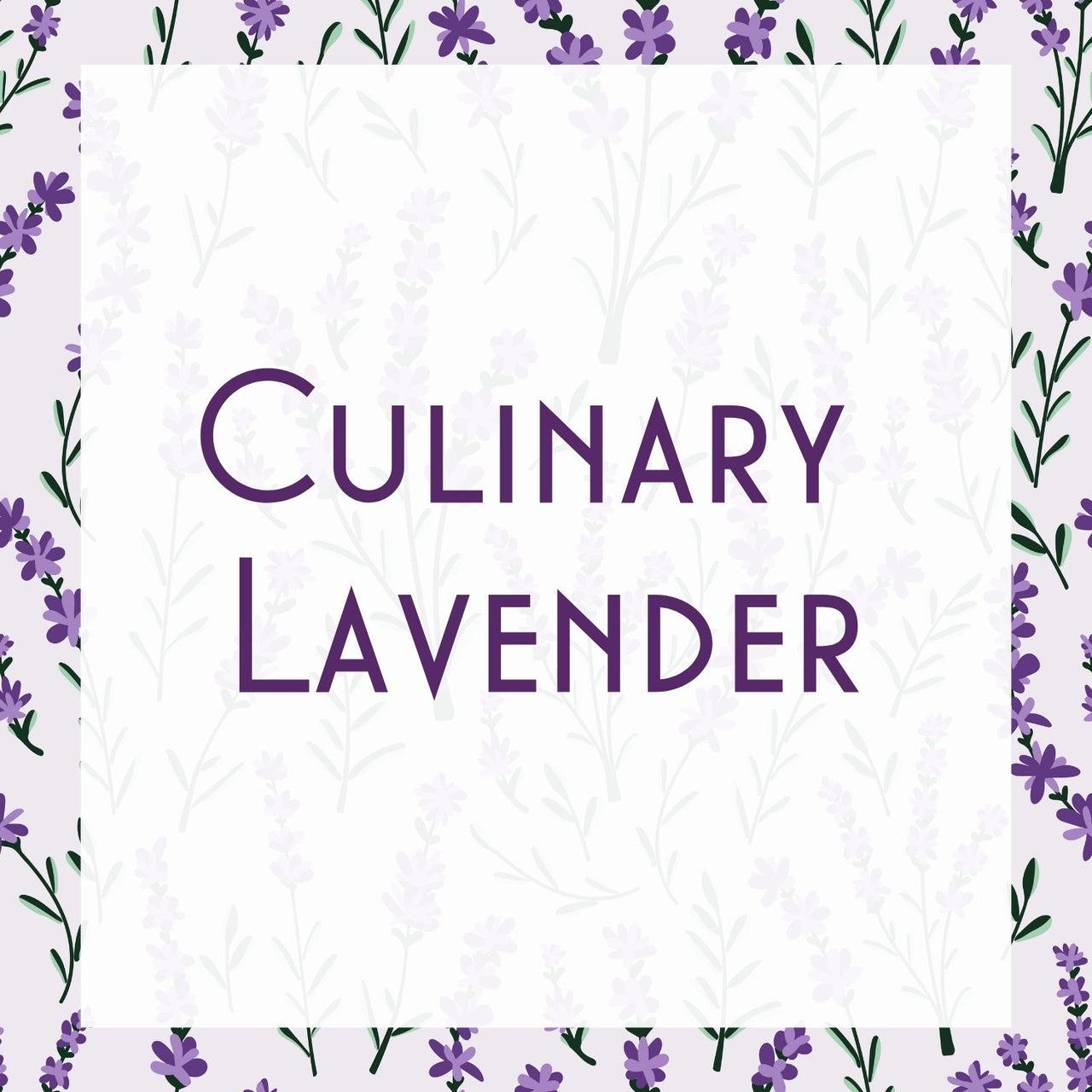 The words Culinary Lavender – Edible Dried Lavender Buds for Baking, Cocktails, & Infusions appear in purple on a white square, centered over illustrated lavender flowers and green stems, highlighting its fragrant and versatile nature.