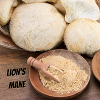 Thumbnail for Close-up image of fresh Lion’s Mane mushrooms with their distinctive shaggy white texture, placed next to a wooden bowl filled with powdered Lion’s Mane and a small wooden scoop, all set on a rustic wooden surface. The words “LION’S MANE” appear in bold black text in the bottom left corner.
