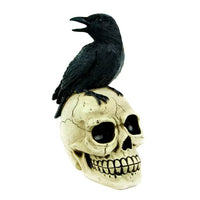 Thumbnail for A striking raven figurine with an open beak sits atop a beige skull with hollow eyes, capturing the intrigue of Poe’s Raven Dark Roast Duo – Limited Edition Coffee + Raven Figurine, displayed on a bright white background.