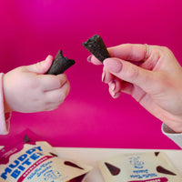 Thumbnail for Muddy Bites Double Fudge – The Cone That Started a Fudge-Filled Frenzy