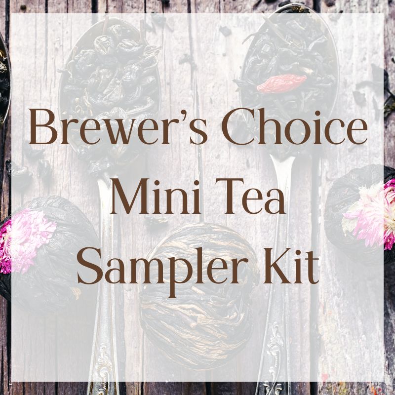 Brewer's Choice Tea Tasting Sampler - Java Momma