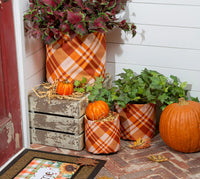 Thumbnail for Fall Planter Set - Java Momma