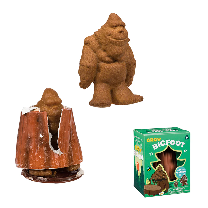 The Bigfoot Mystery Box