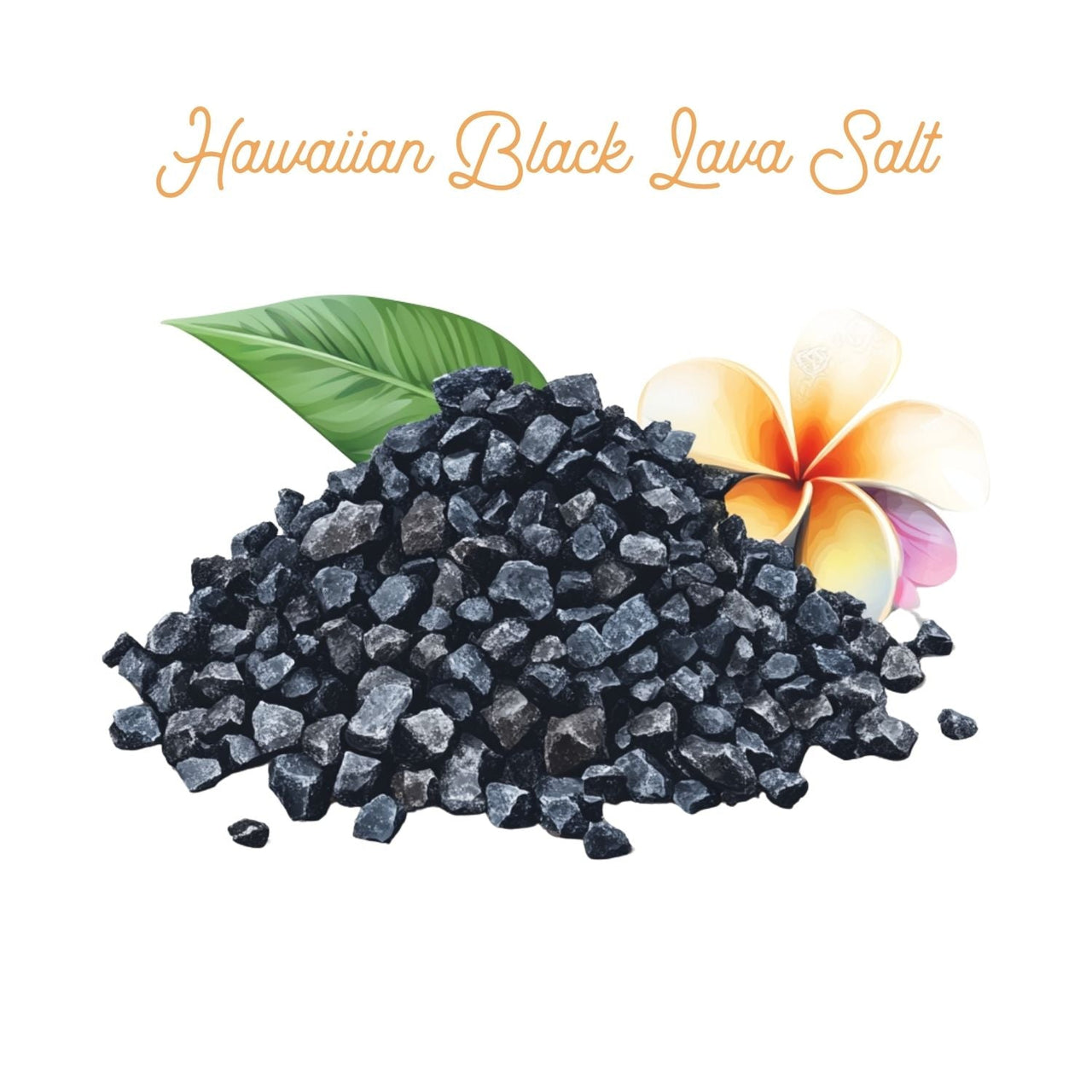 🌋 Hawaiian Black Lava Salt - Exotic Gourmet Sea Salt 🖤 - Java Momma