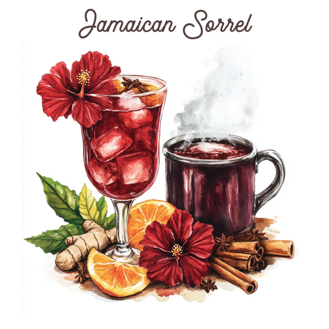 Jamaican Sorrel: A Taste of the Tropics - Java Momma