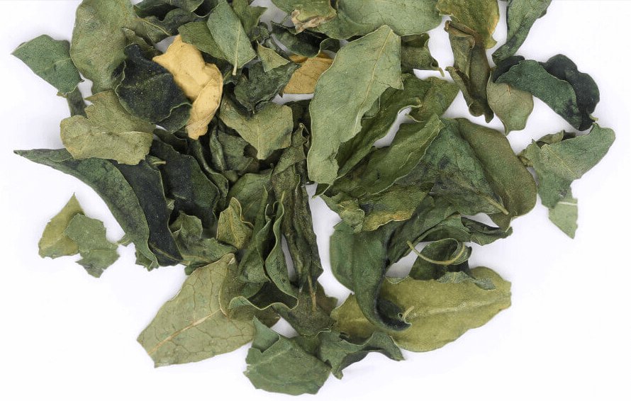 Moringa Leaf Tea - Java Momma