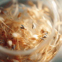 Thumbnail for Steady – Lemon Balm, Chamomile & Mint Herbal Calm Blend