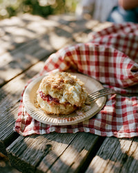 Thumbnail for A strawberry shortcake on a paper plate on a weathered wood picnic table, dappled summer afternoon light