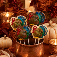 Thumbnail for Turkey Round Pollylop® — Chocolate Lollipop - Sensational Sweets