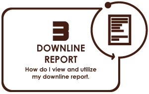 downline report
